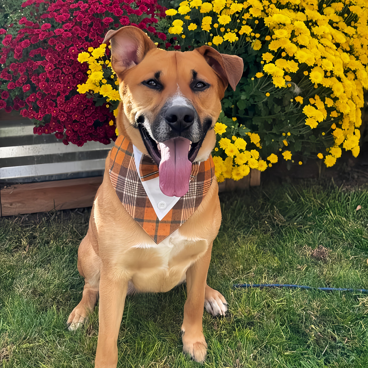 Pet Plaid Bow Tie Collar Scarf for Dogs & Cats